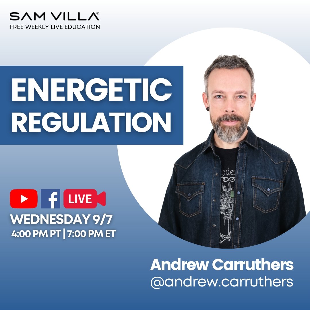 Energetic Regulation - Sam Villa
