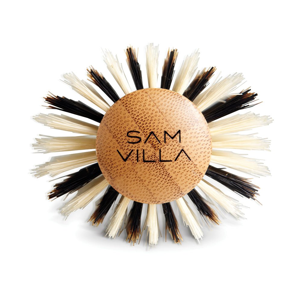 Signature Series Oval Brush - Large - Sam Villa
